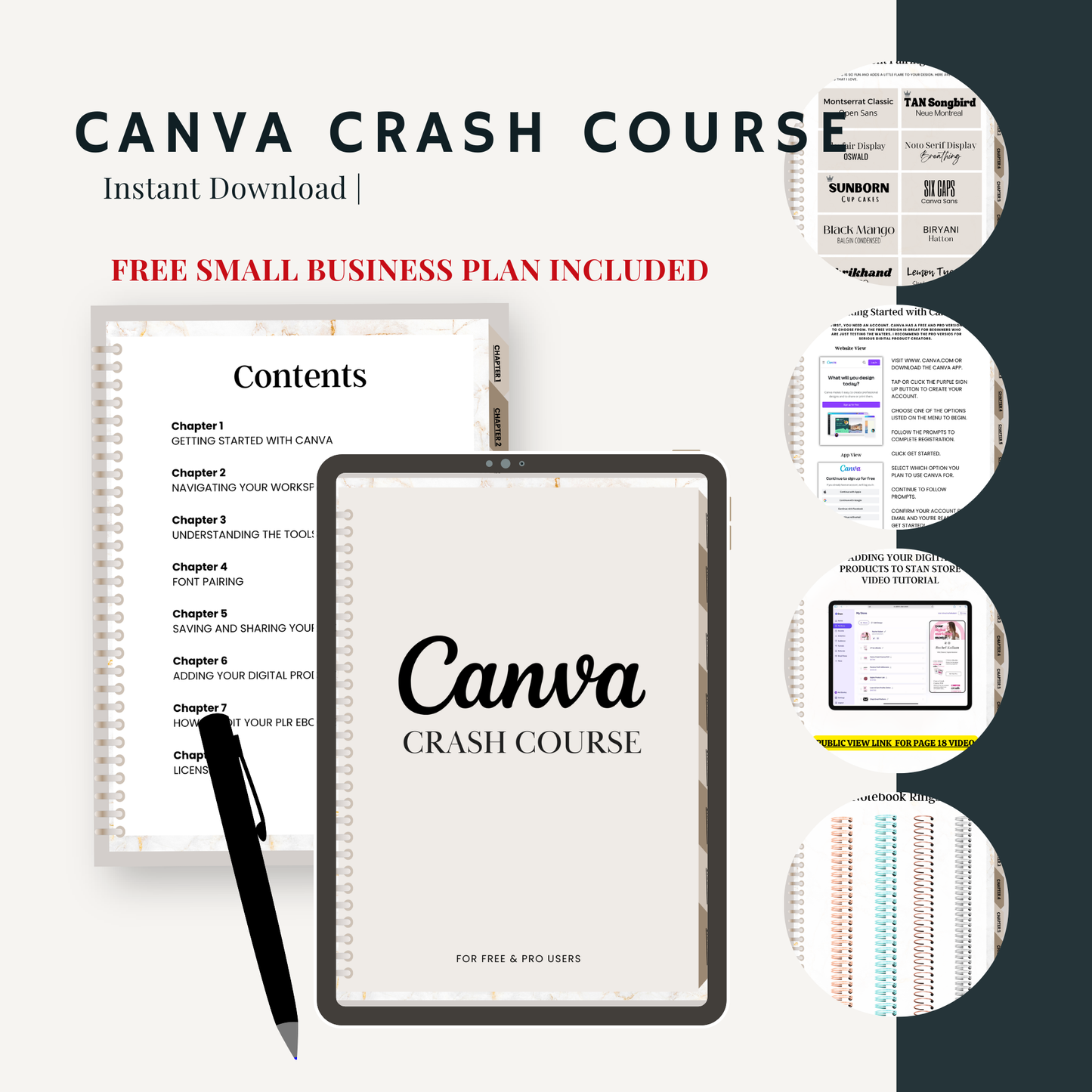 Canva Crash Course with Master Resell Rights (MRR) | Learn Canva + Resell for 100% Profit