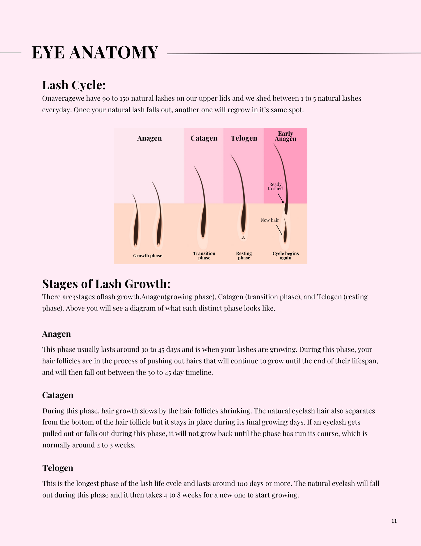 Editable Lash Training Manual | Classic, Hybrid & Volume Techniques | Canva Editable E-Book for Lash Educatorsl